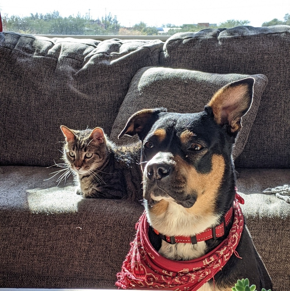 Meet your Posher, Ashley